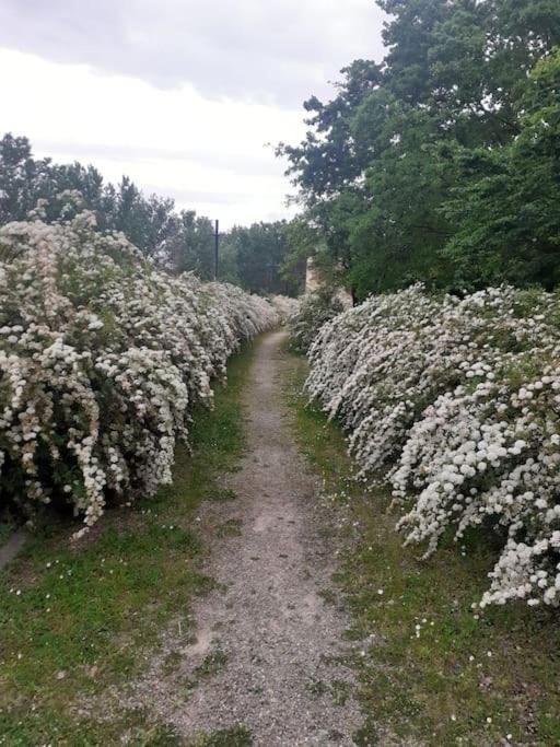 Dalla Rossa Монтелупо Фиорентино Екстериор снимка